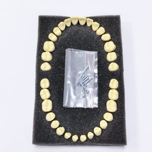 Комплект фантомных зубов для учебной модели ARMA Phantom Teeth (AATU-1)