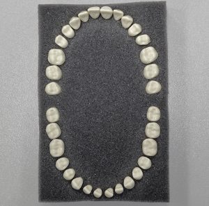 Комплект фантомных зубов для учебной модели ARMA Phantom Teeth (AATU-1)