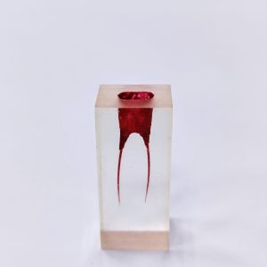 Эндоблок тренировочный (два канала окрашены)