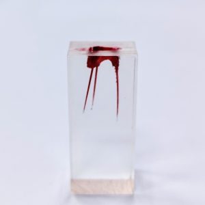 Эндоблок тренировочный (три канала окрашены)